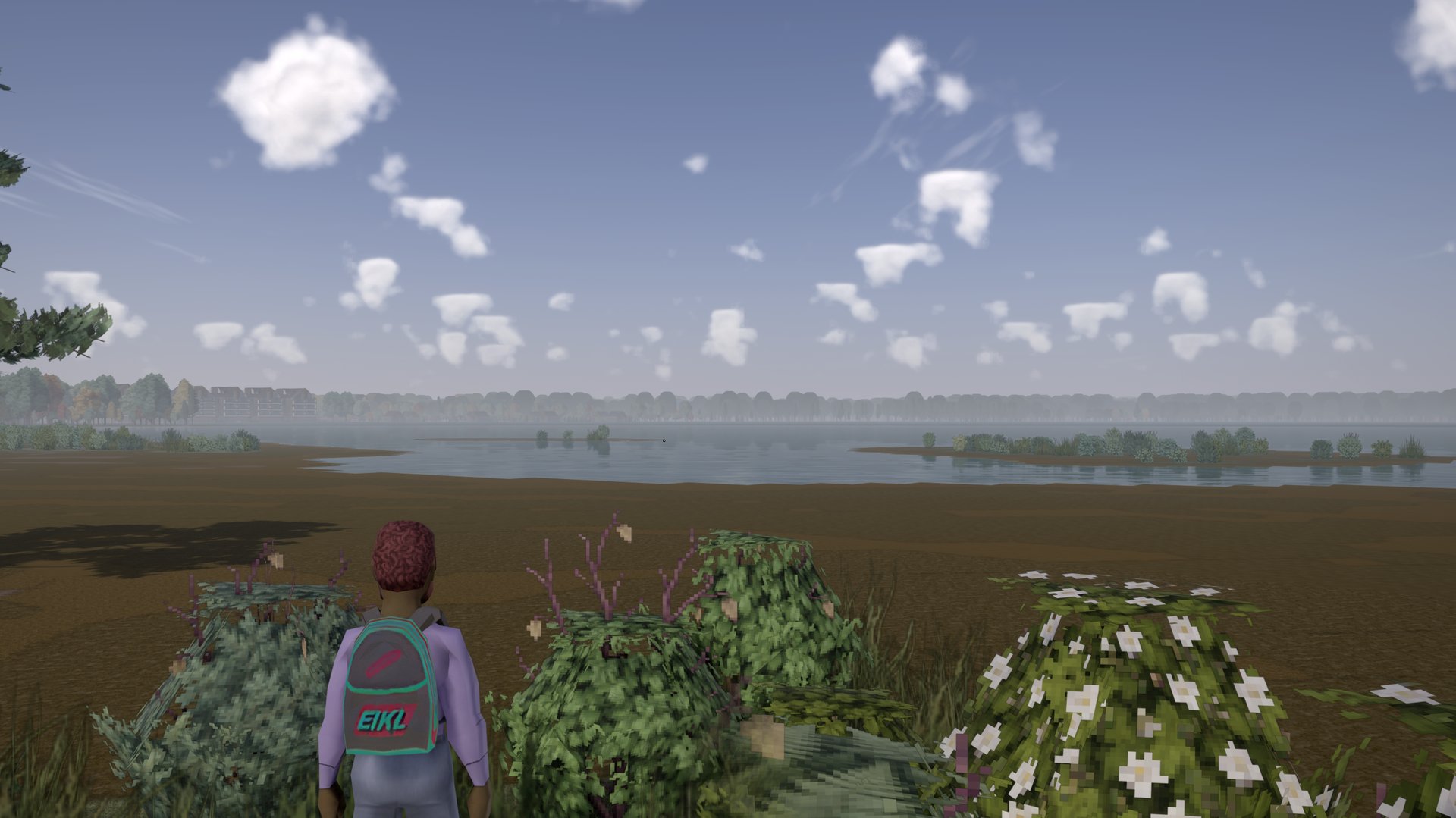 Pine trees and a lake shore in the Oz Server countryside
